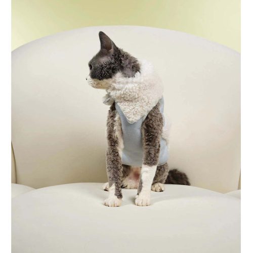 BluePlushCatDogVest4