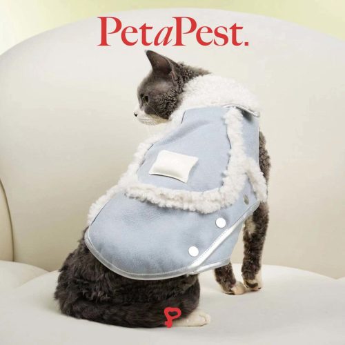 BluePlushCatDogVest9