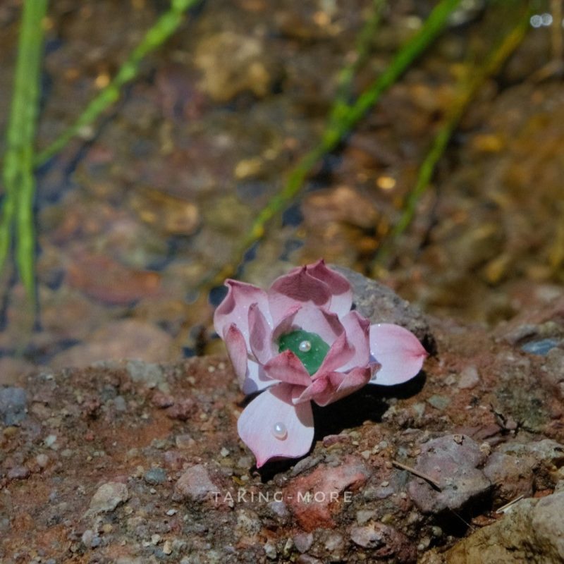 CowhideSummerLotusBrooch2