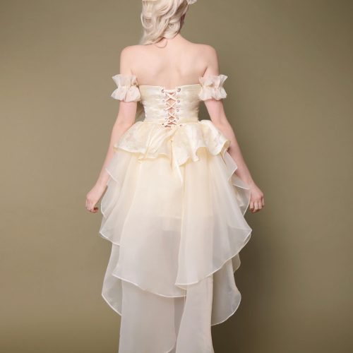 IsabellaLace UpBackPrincessGown2