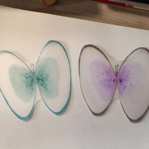 ShellButterflyShrinkPlasticRing2