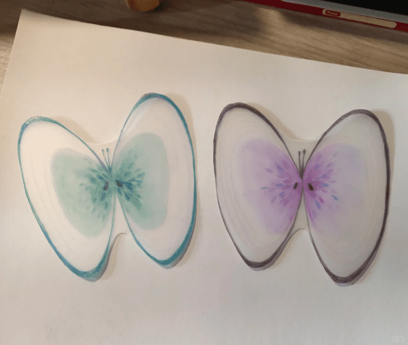 ShellButterflyShrinkPlasticRing2