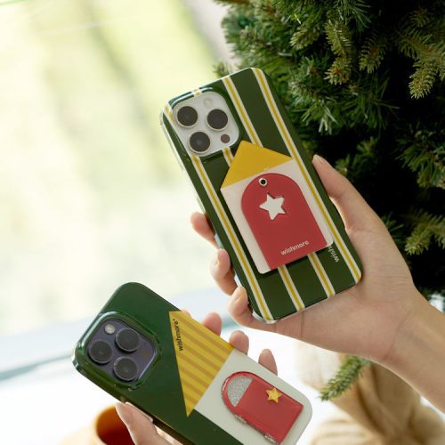 WinterGreenHousePhoneCase1